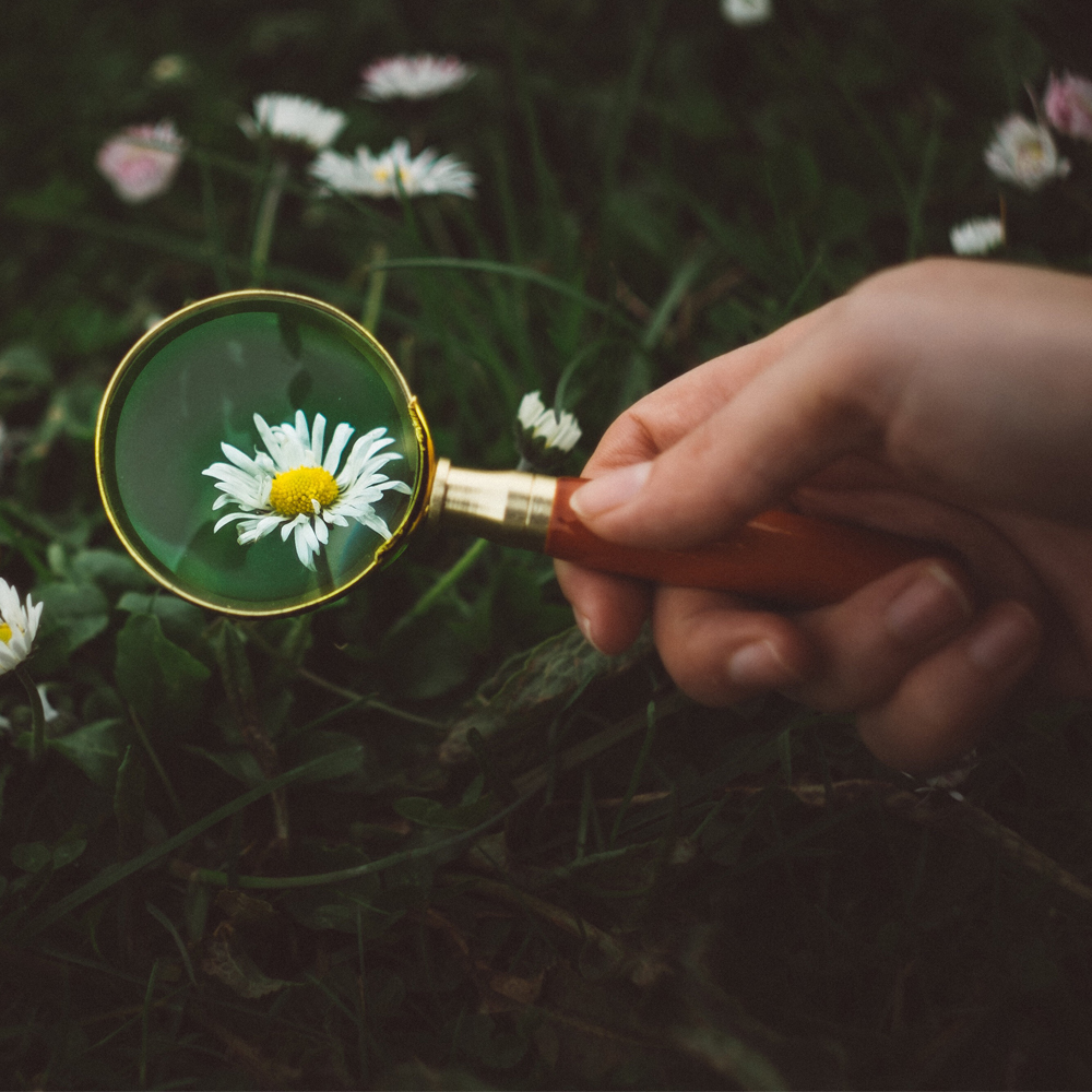 curiosity is the engine 2